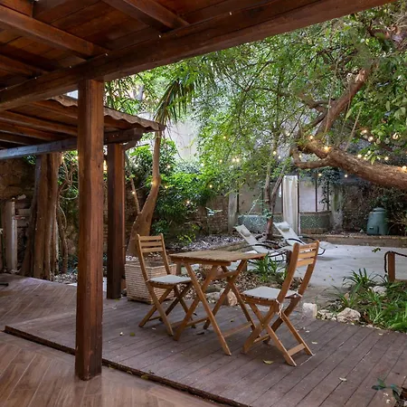 Small Garden Oasis In The Center Of Appartement